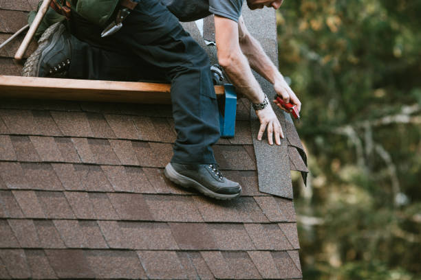 Roof Gutter Cleaning in Metuchen, NJ
